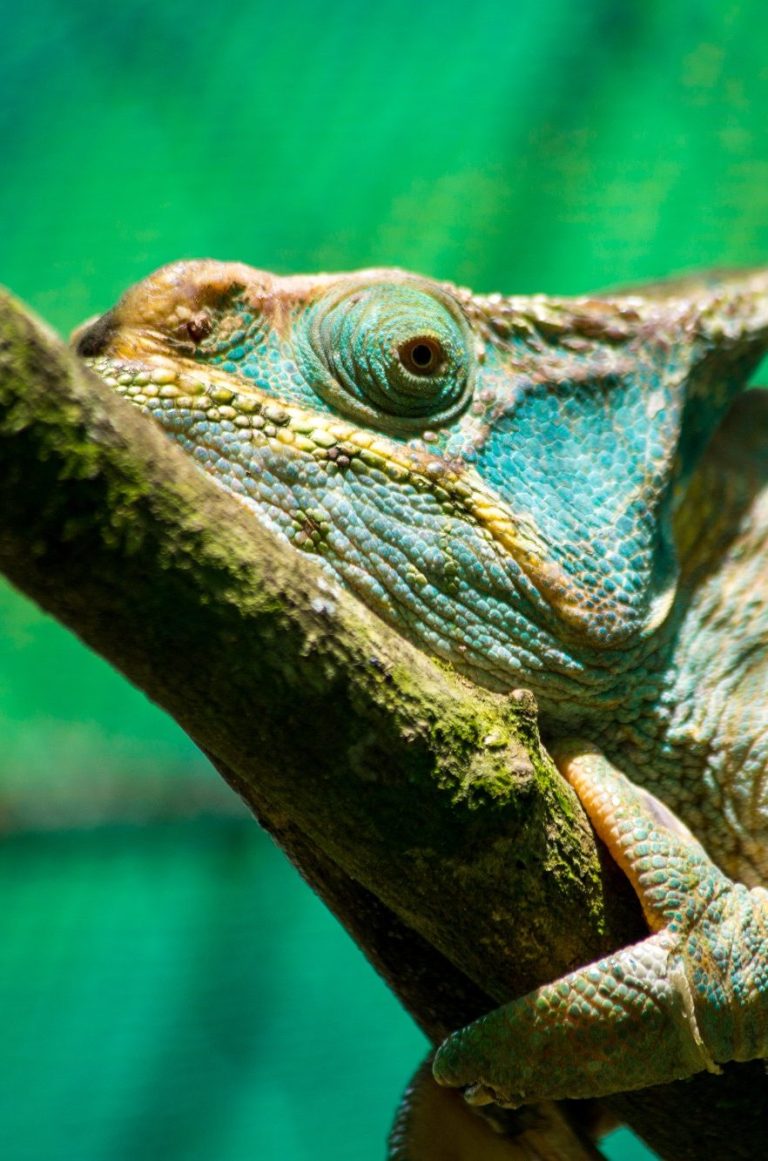 photographie lors d'un déplacement à madagascar